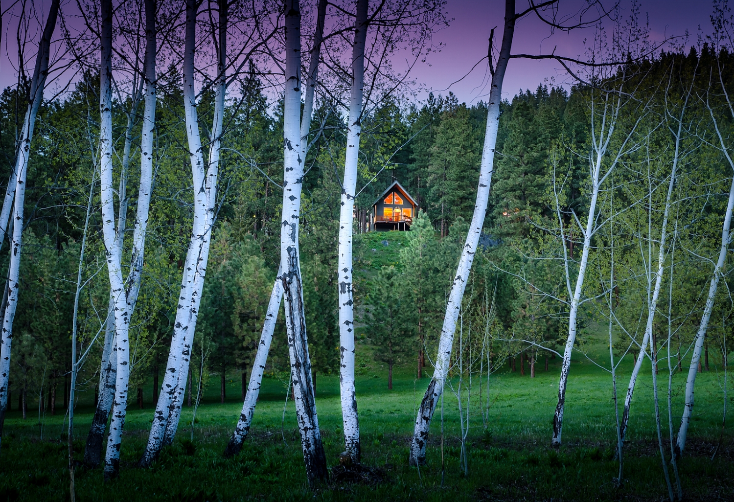 Cabins Stuart's Roost