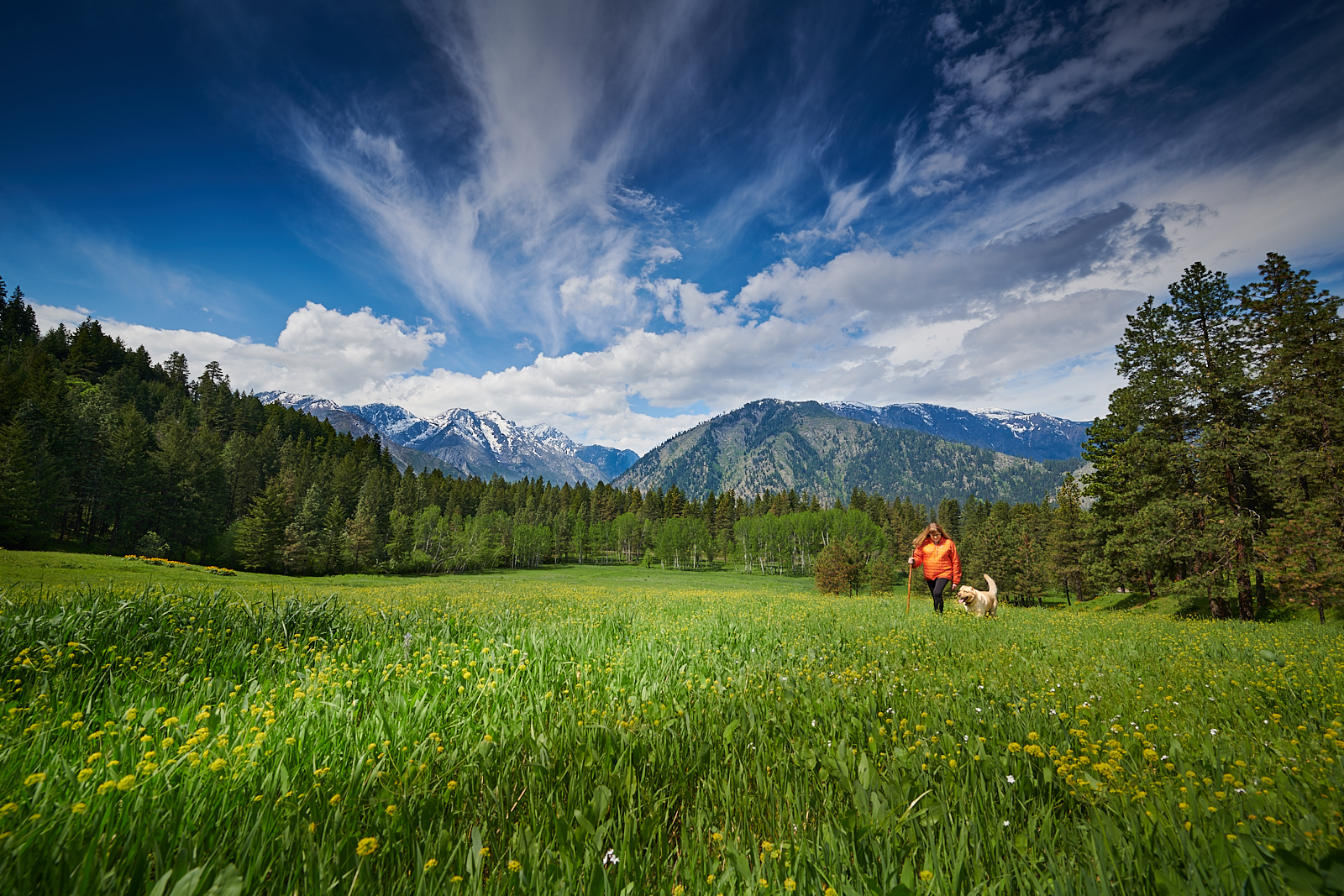 Early May &amp; MHL's Meadow