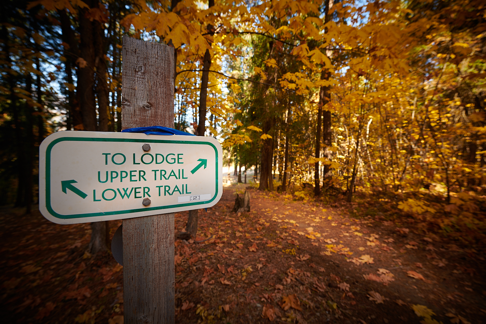 Late October Hiking