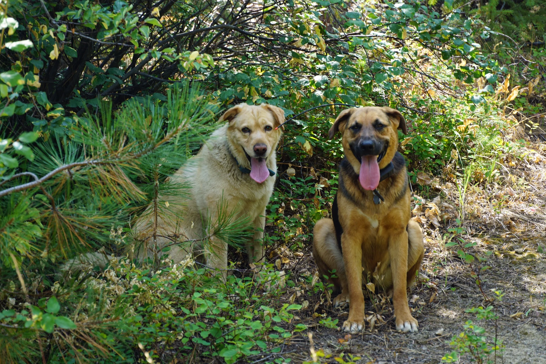 Summer's ending?? Oh no... 