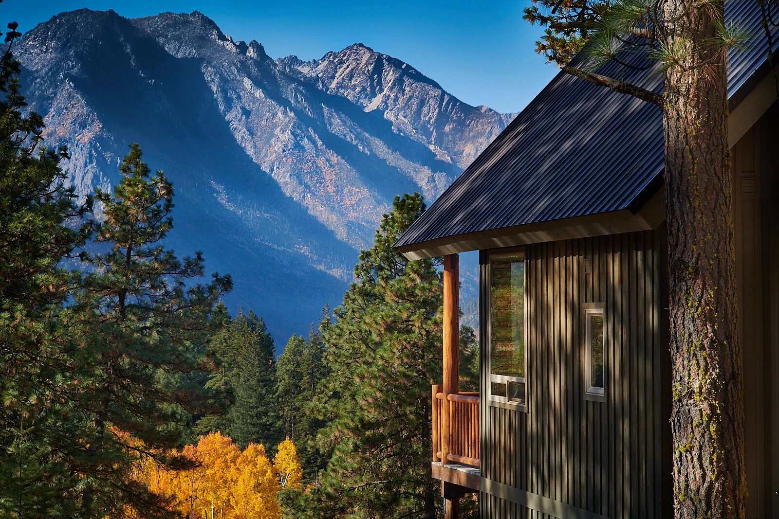 Morning Light...Cabin Stuart Roost