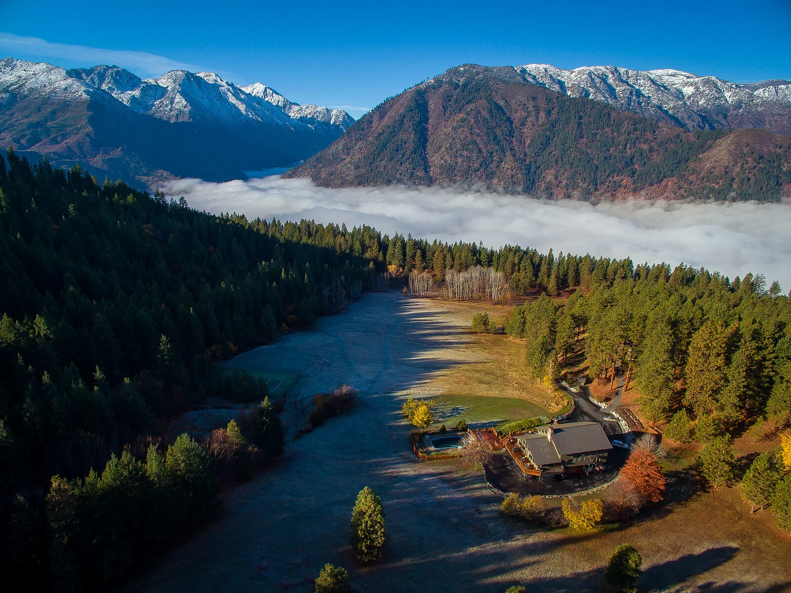 Early Winter