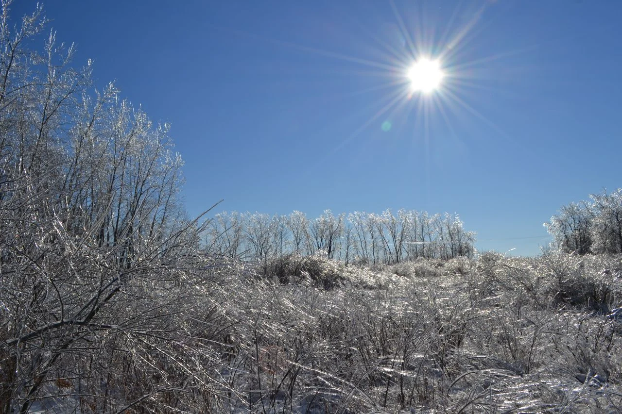 DSC_0025.jpg