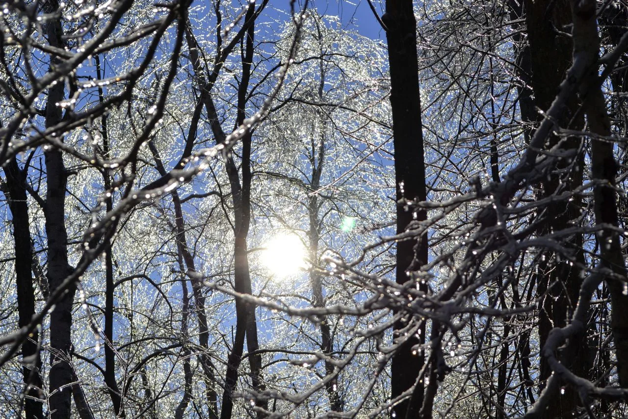 DSC_0050.jpg