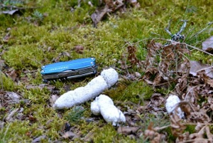 Scat is often white from the bone calcium they eat