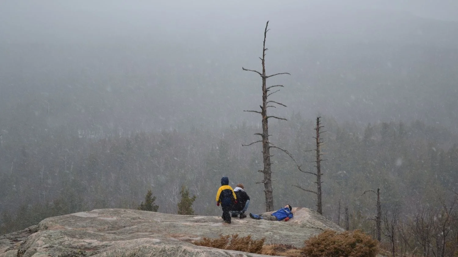 Welcome to Call of the Yooper Reconnect with nature