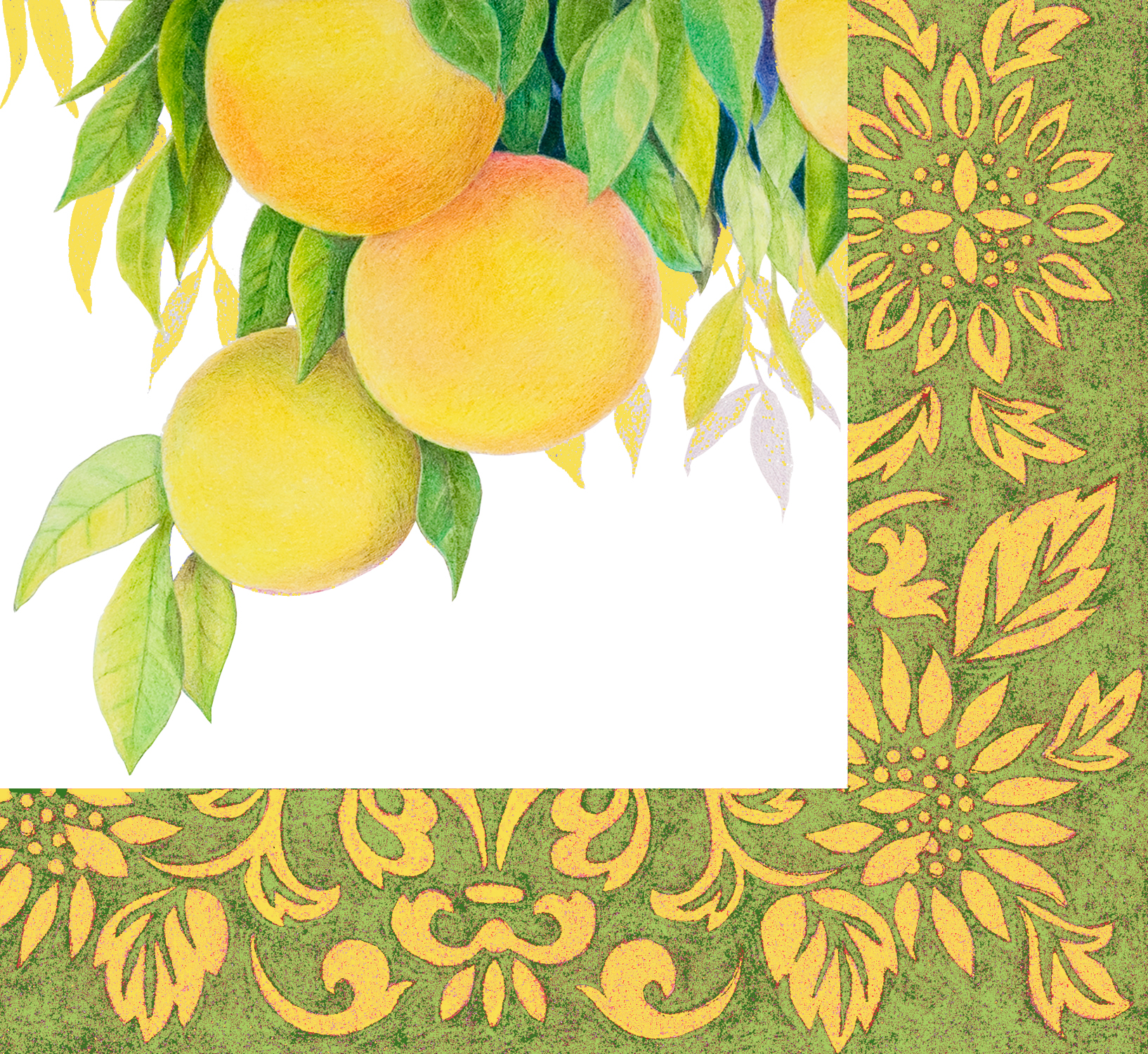 Grapefruit napkin.jpg