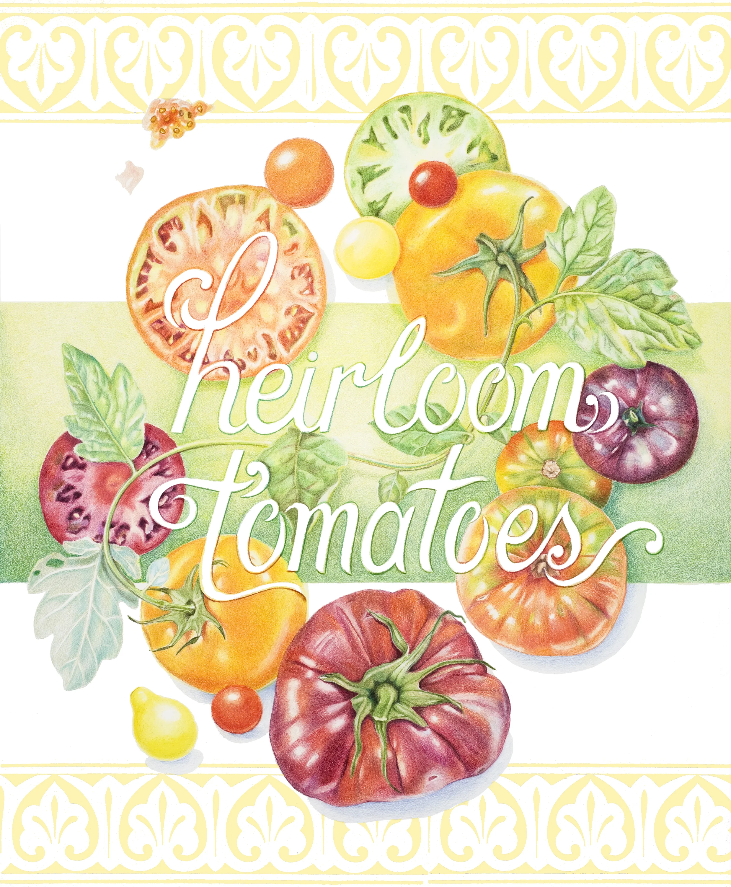 H.tomato700.jpg