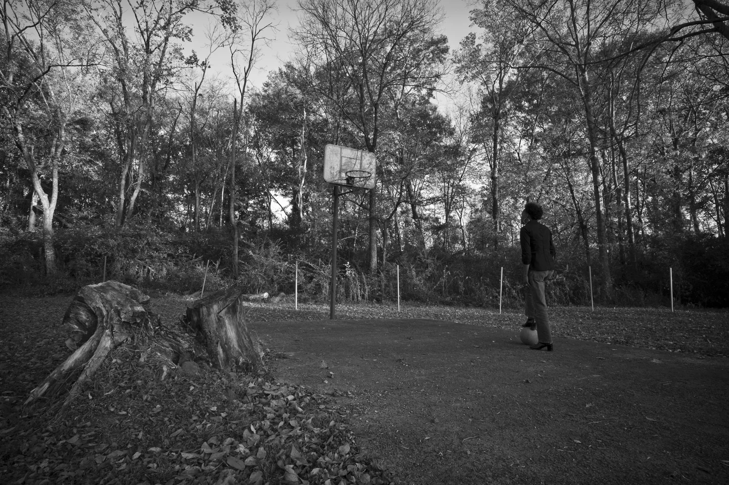 My Court