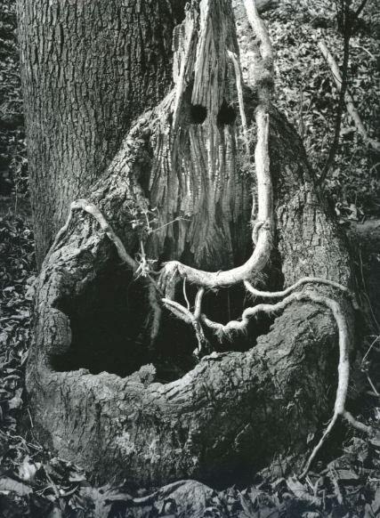 Cauldron #1, Pittsboro/Bynum, N.C.