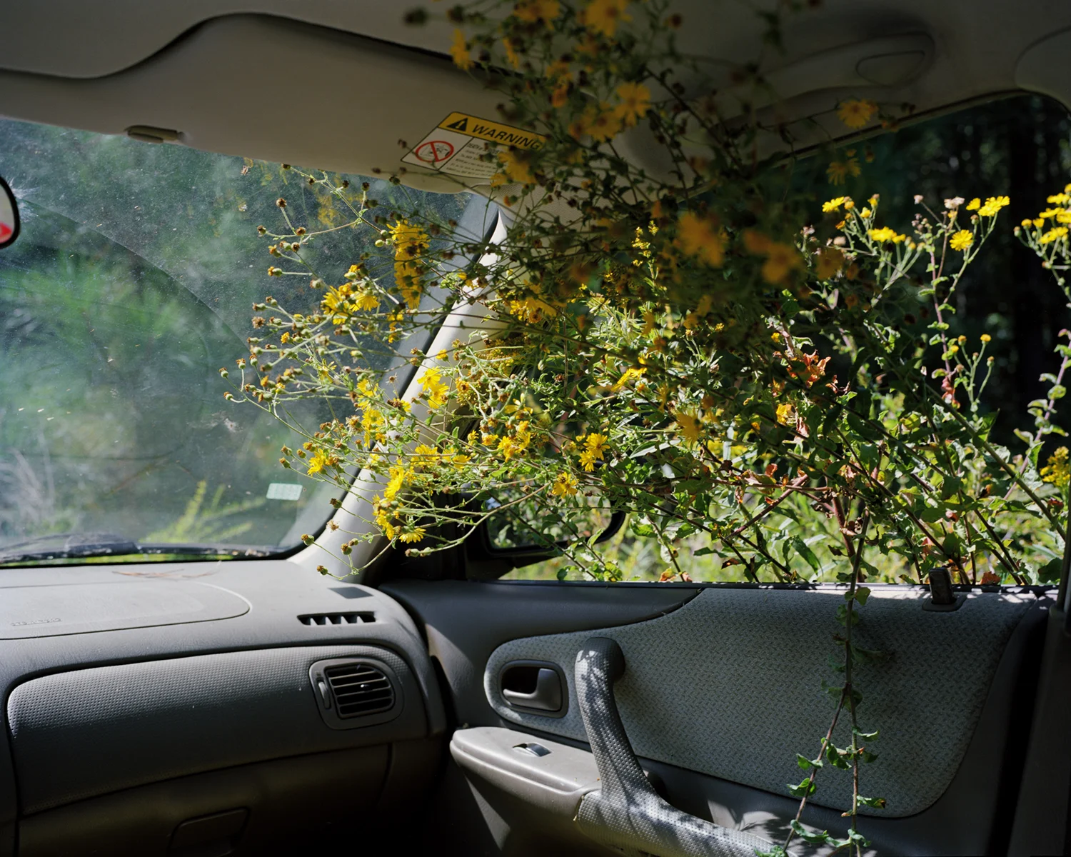 Roadtrip
