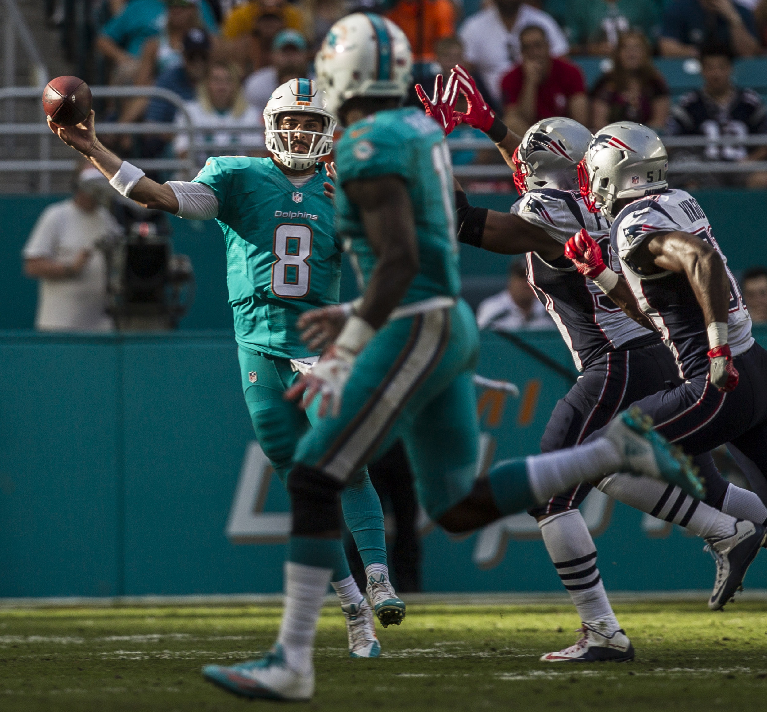  Miami Dolphins quarterback Matt Moore (8) attempts to complete a pass while being hurried by the New England Patriots pass rush at Hard Rock Stadium in Miami Gardens, Florida, January 1, 2017. 