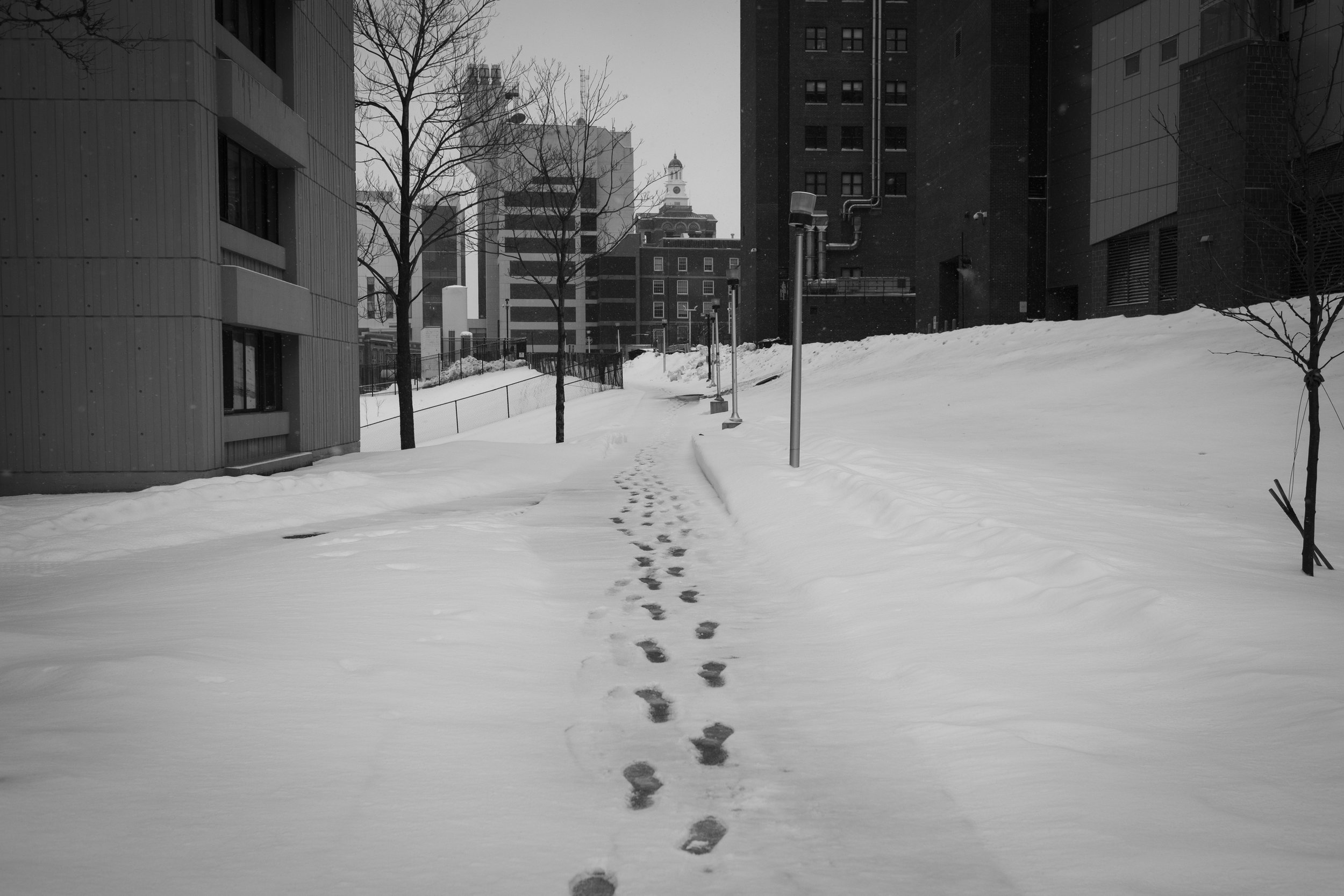  As seen on my trek to work at Syracuse University. 