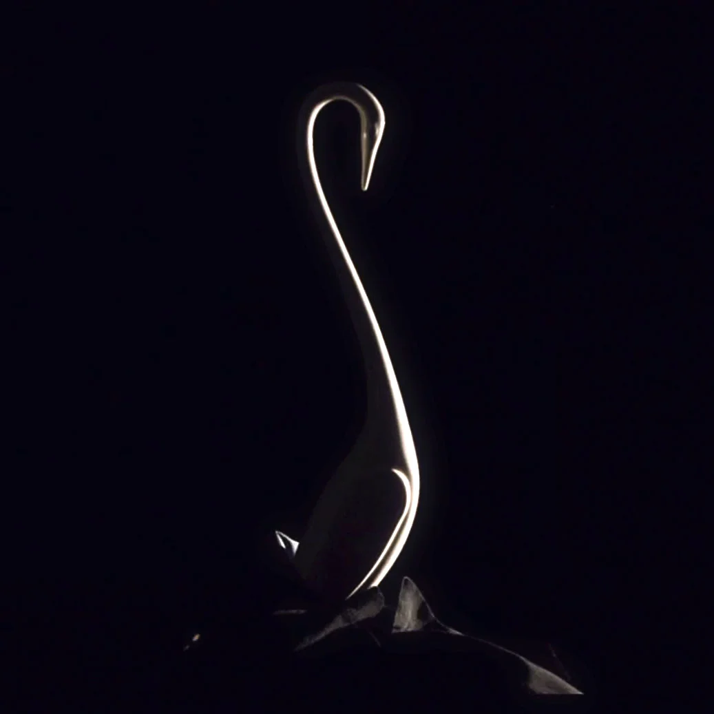 Swan_thumb2.jpg