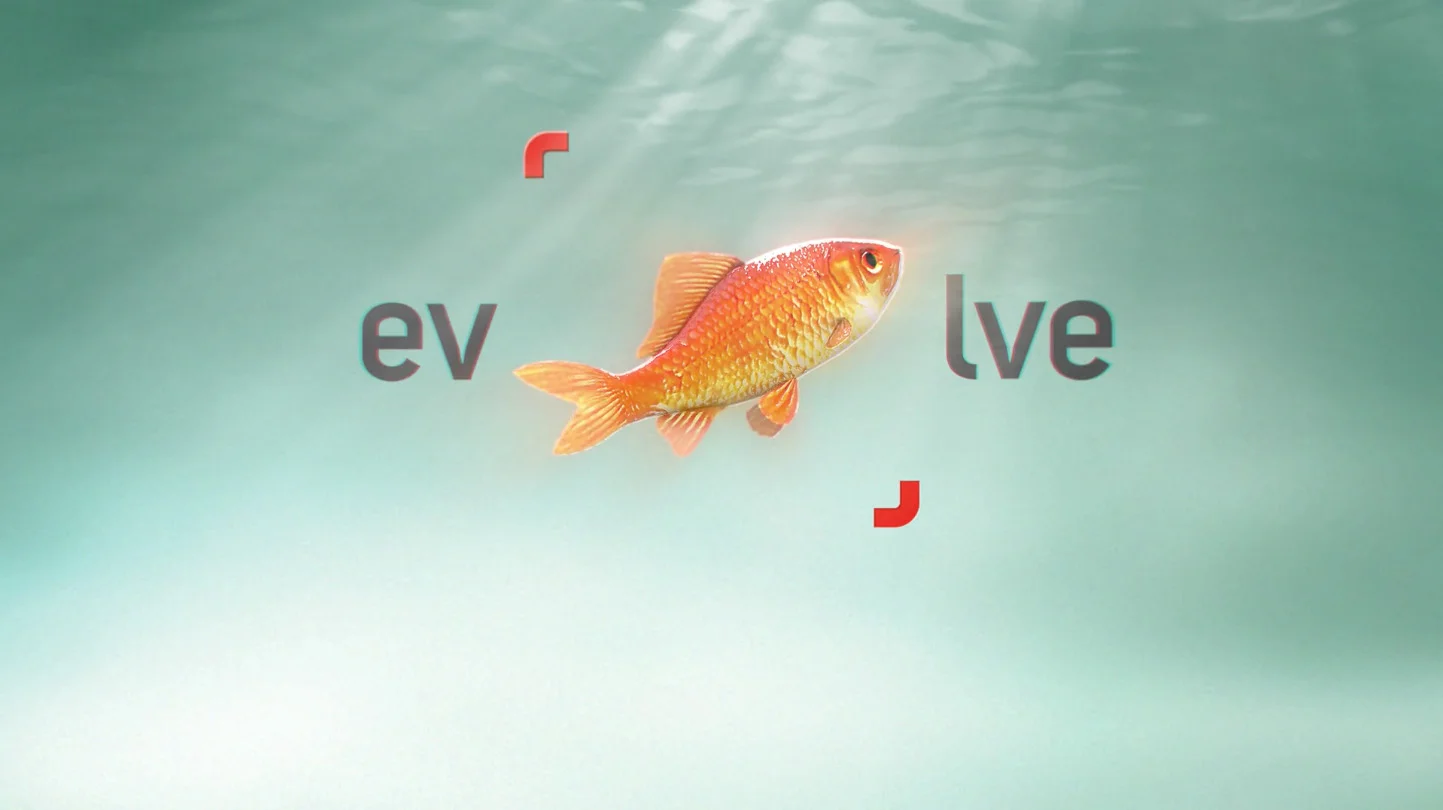 Shutterstock_layers9_o.jpg
