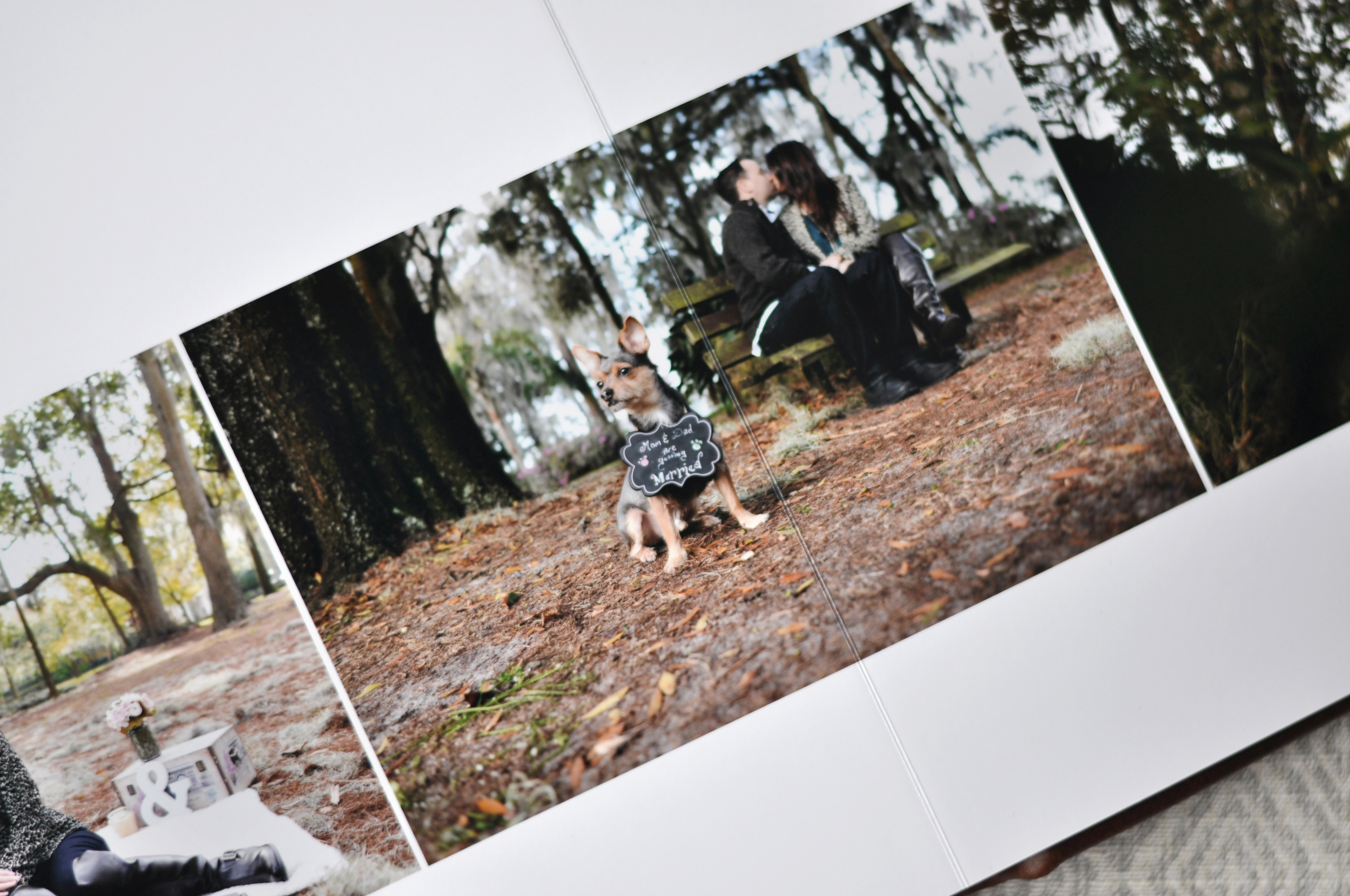 AlbumSample18.jpg