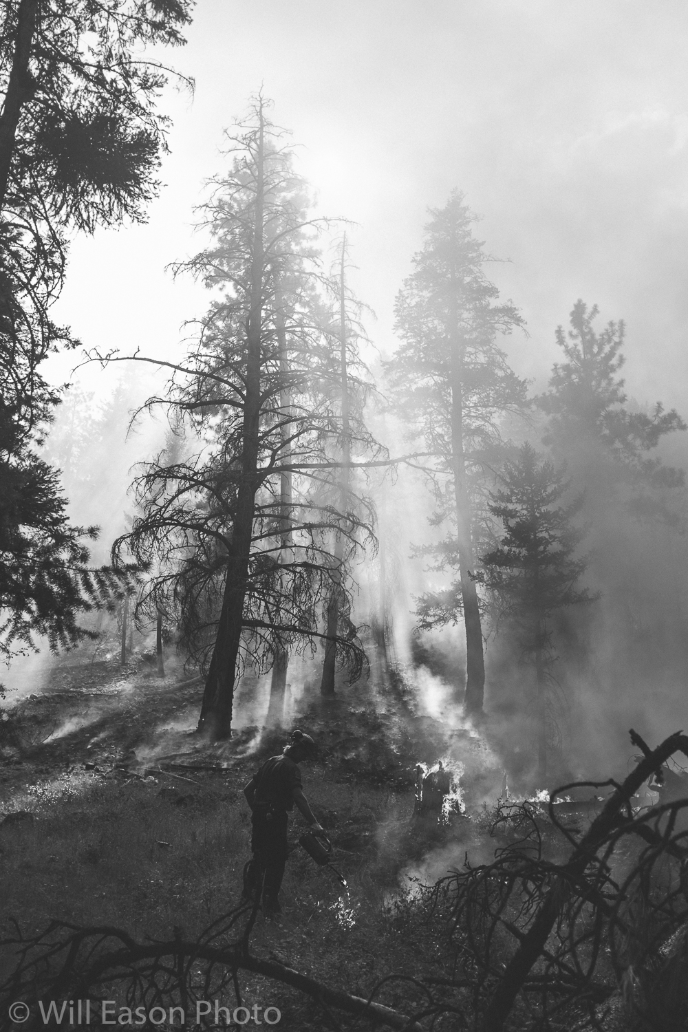 2018 Fire Season-109.jpg