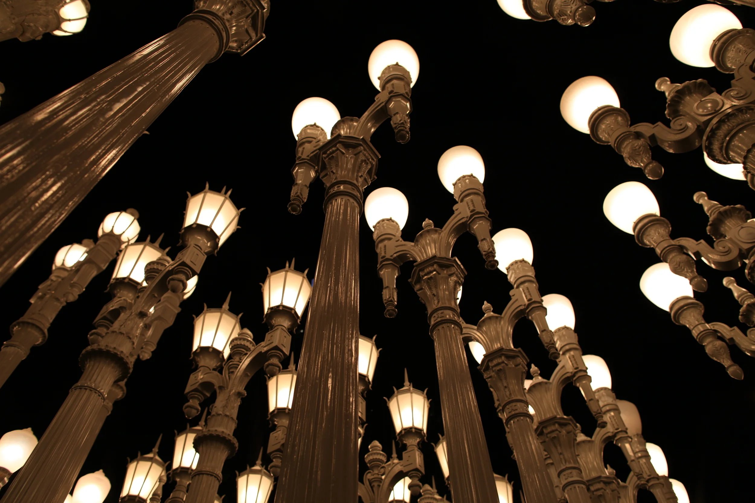 IMG_4646.JPG