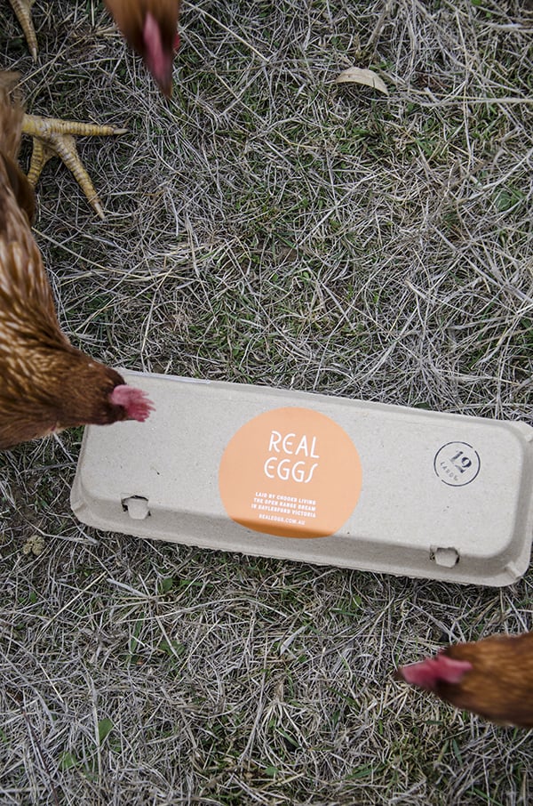 real eggs  {honest eggs co.}  little film +  website