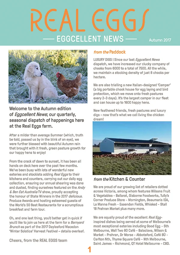 real eggs  print newsletter