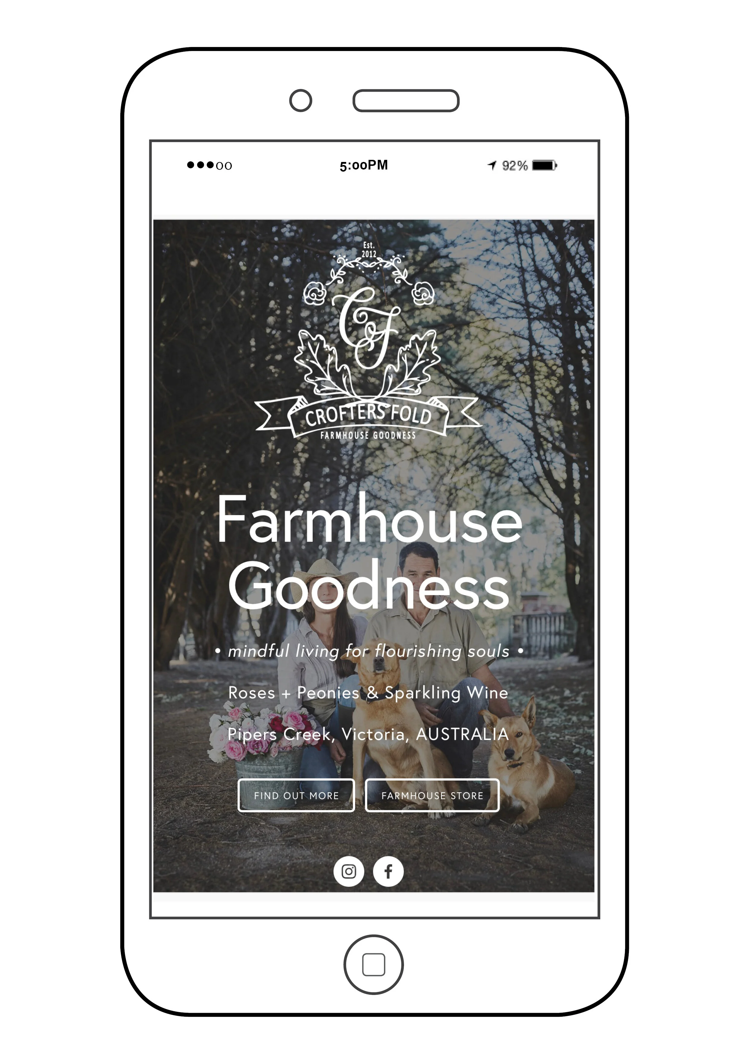 branding + website + online farmhouse produce store