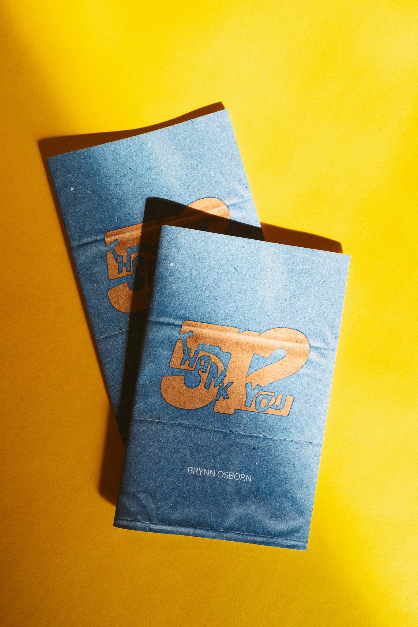 @brynnosborn-zine-1.jpg
