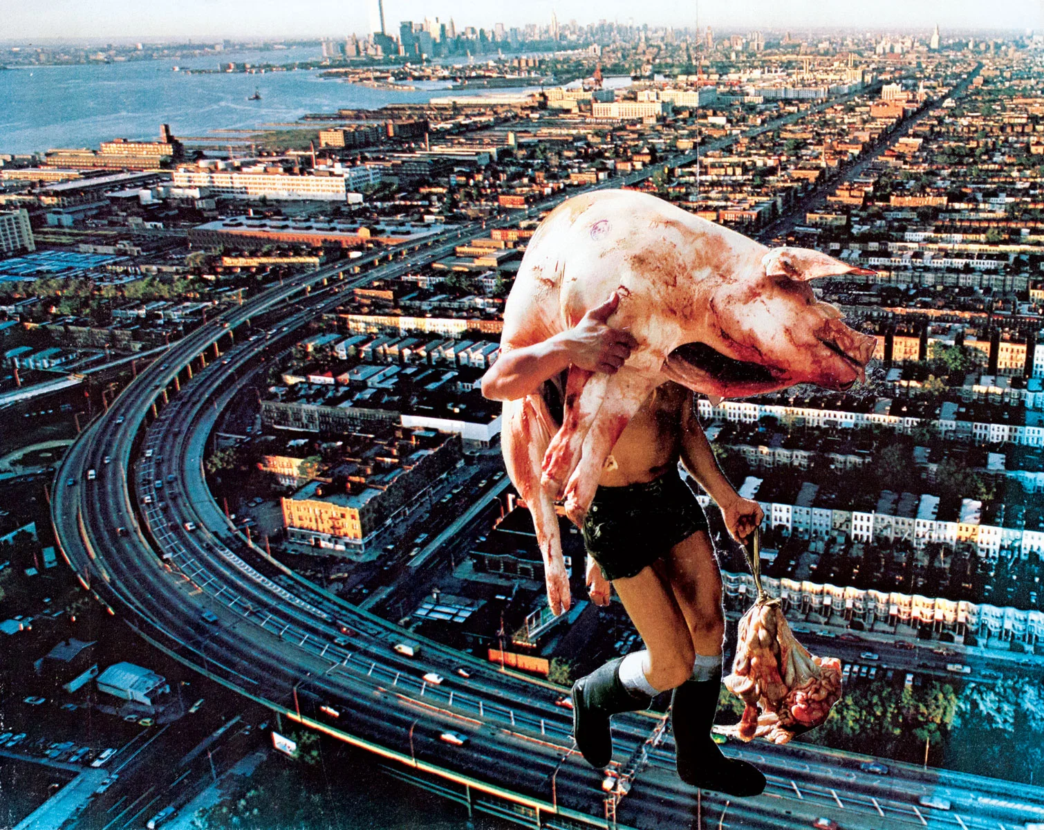 Bringing Home the Bacon