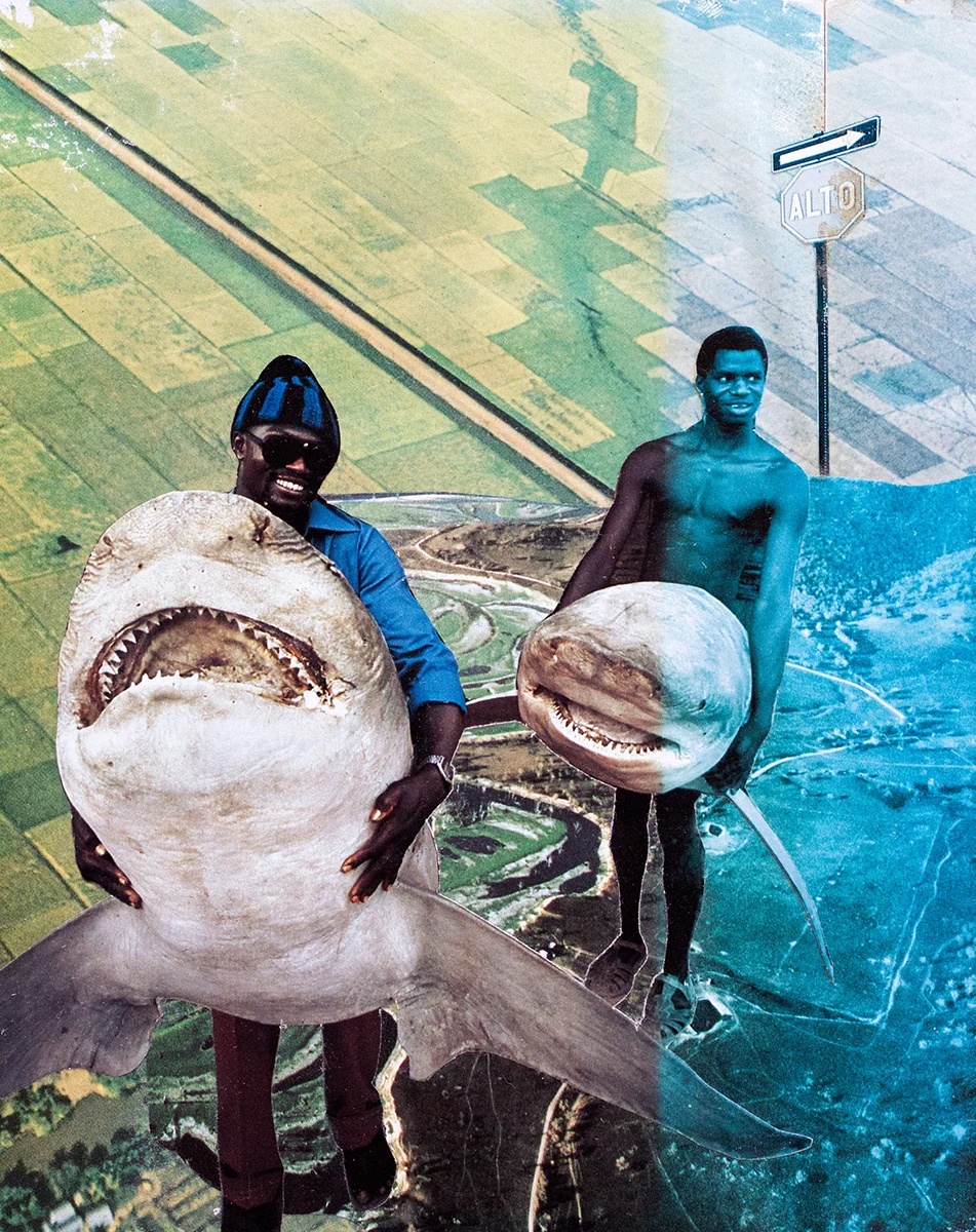 Land Sharks