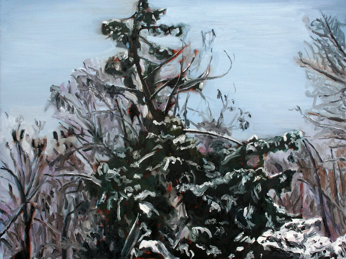 Tree at Sitter's Pond
