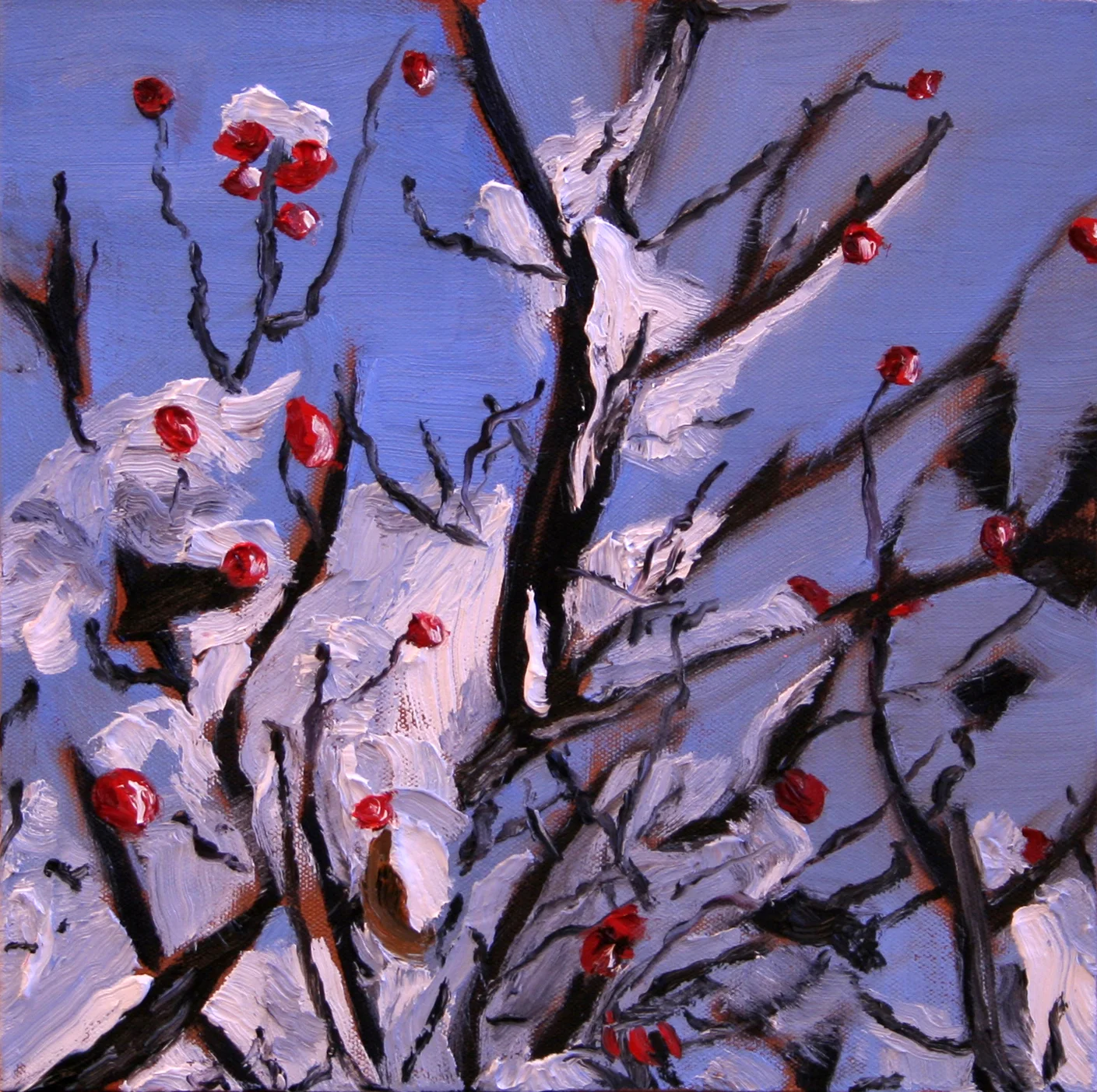 Arbutus Tree in Winter 01