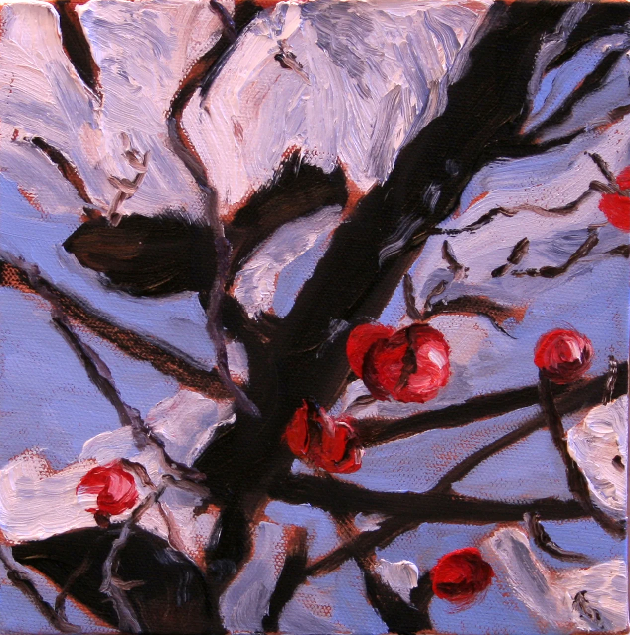 Arbutus Tree in Winter 02