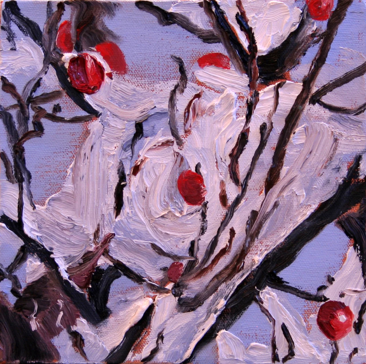 Arbutus Tree in Winter 03