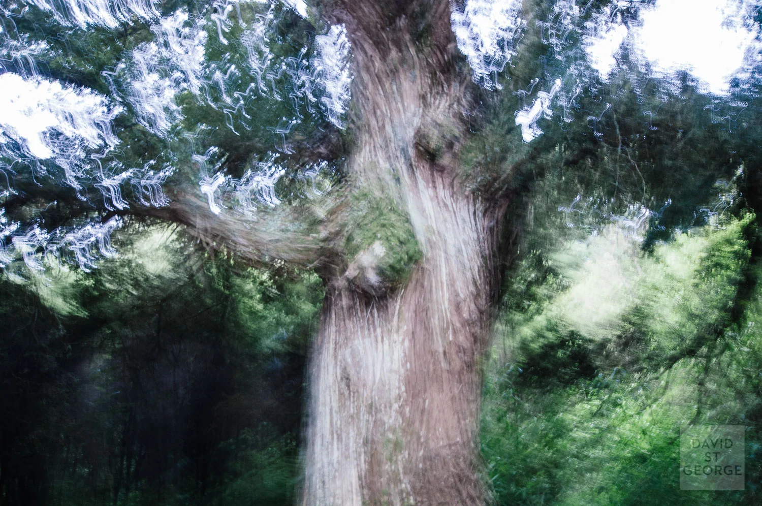 Impressionist__DST6680.jpg