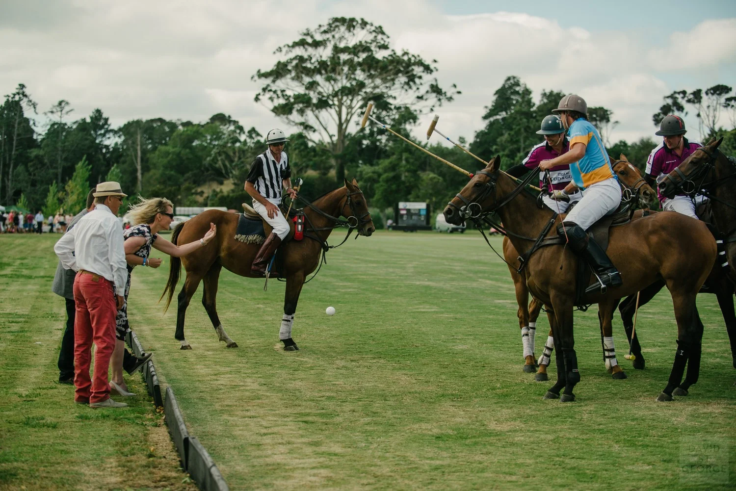 BMWPolo_DavidStGeorgePhotography__DWS5192.jpg