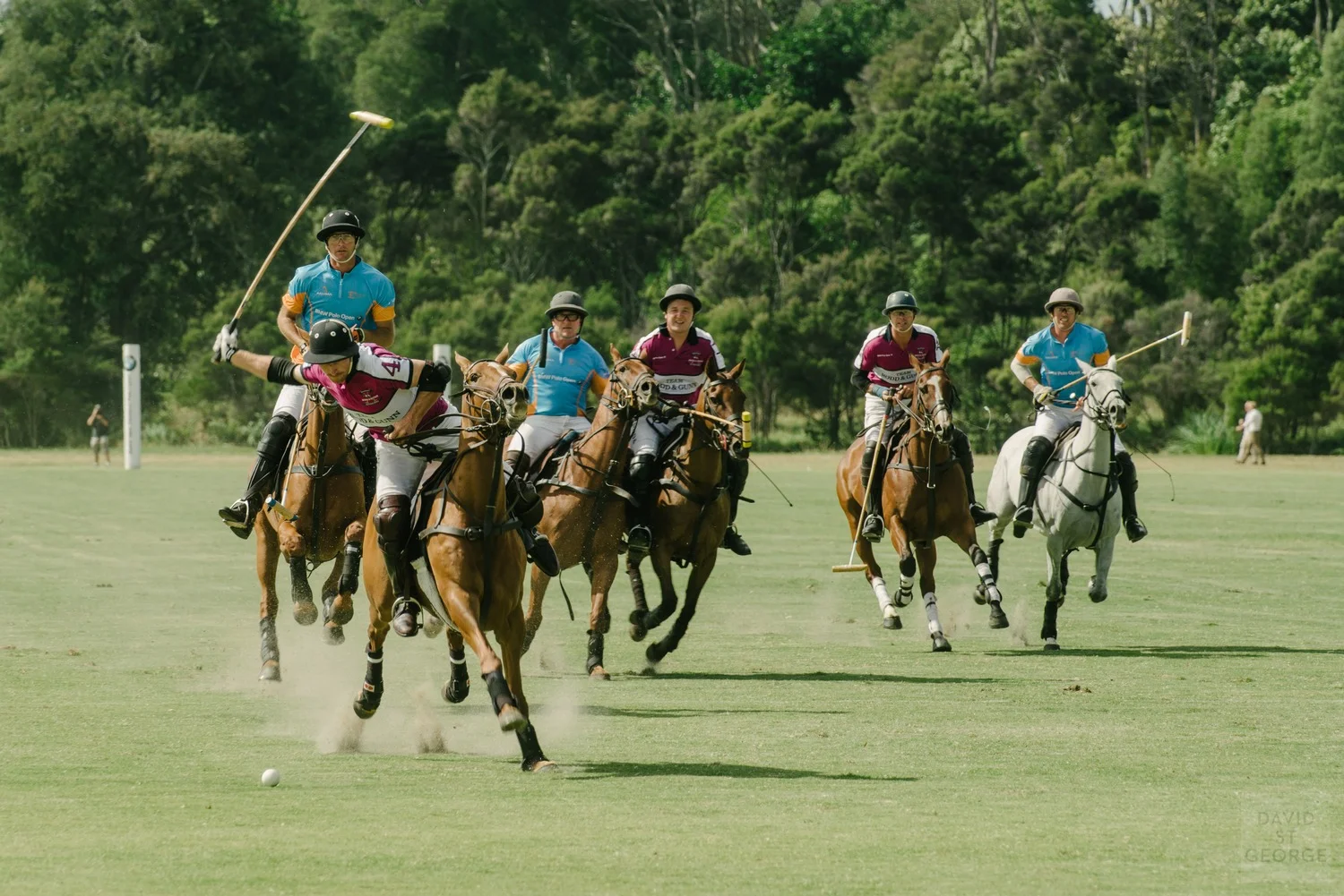 BMWPolo_DavidStGeorgePhotography__DWS5309.jpg