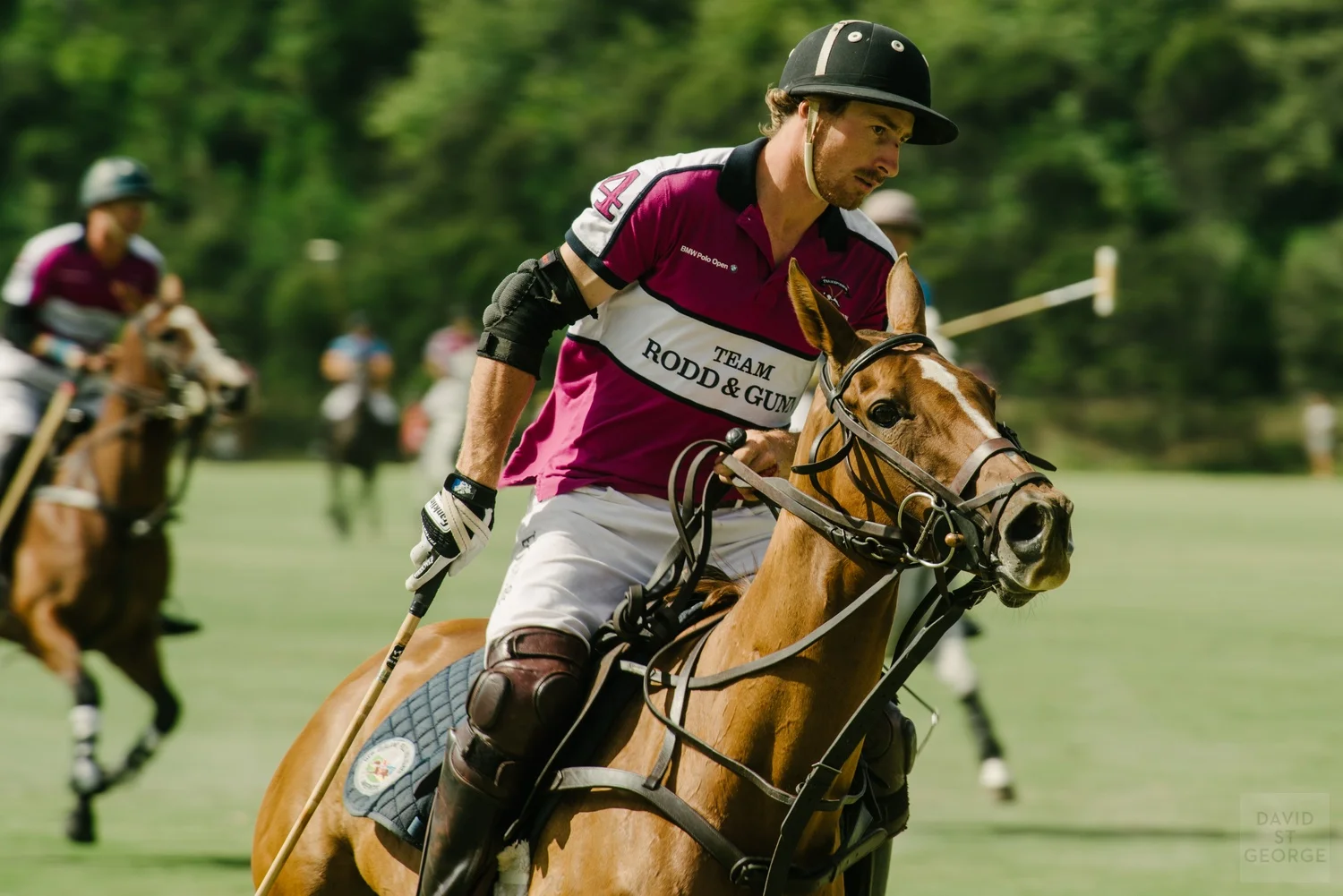 BMWPolo_DavidStGeorgePhotography__DWS5316.jpg