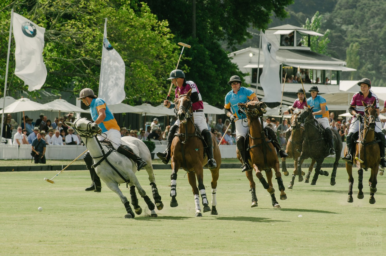 BMWPolo_DavidStGeorgePhotography__DWS5330.jpg