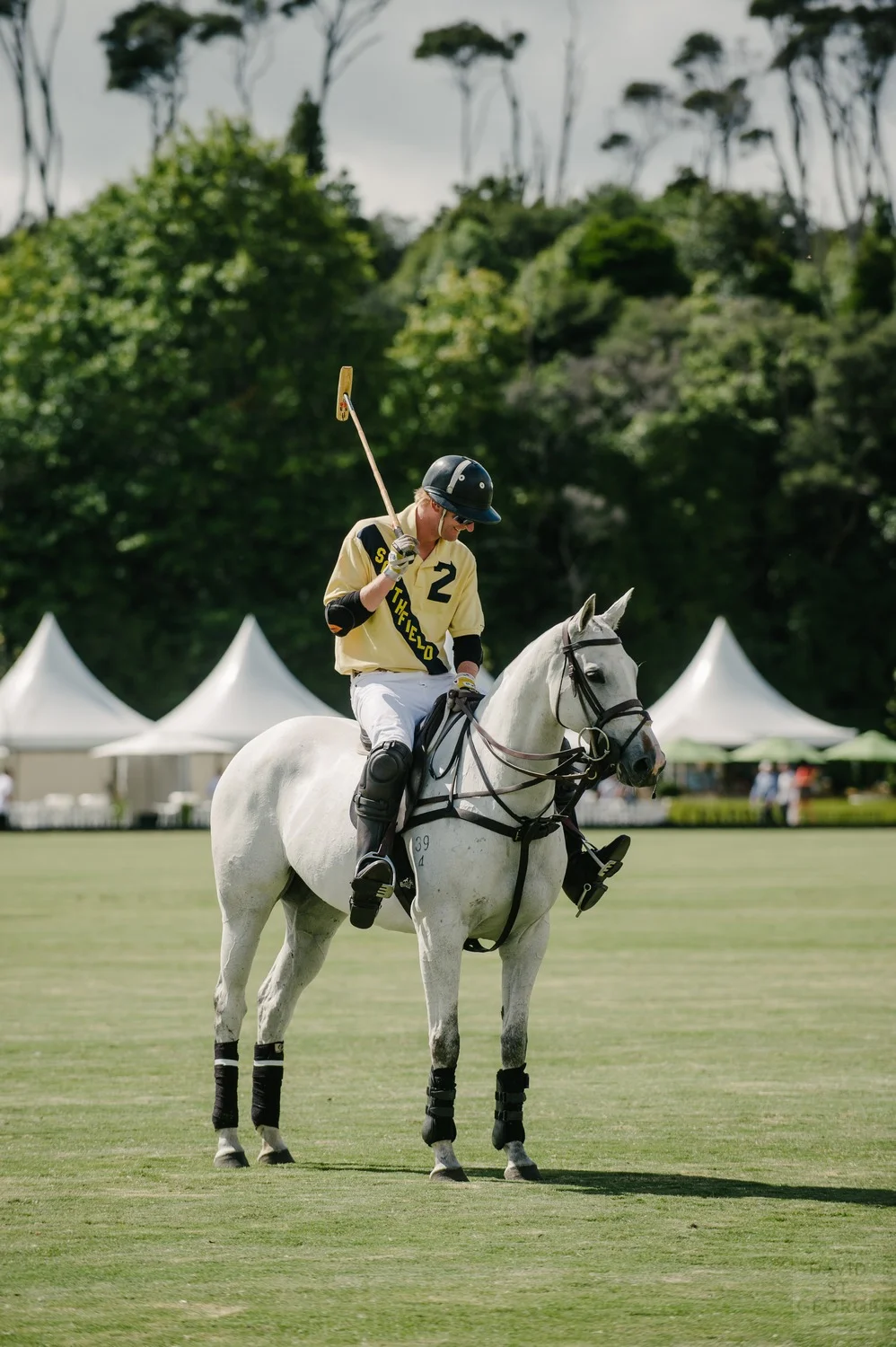 PoloAction__DFD1273.jpg