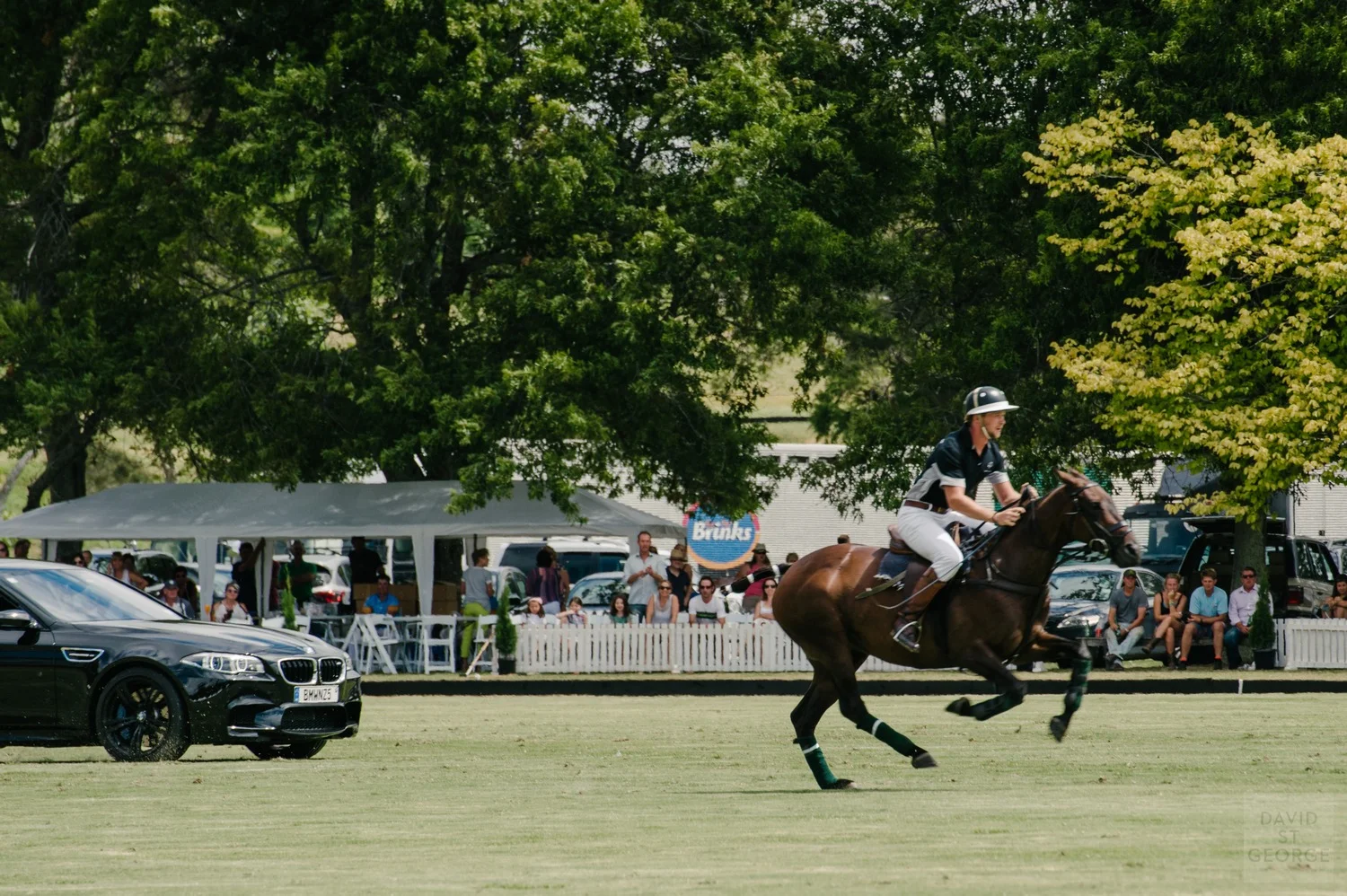 HorseVSCarSaturday__D2FD0399.jpg