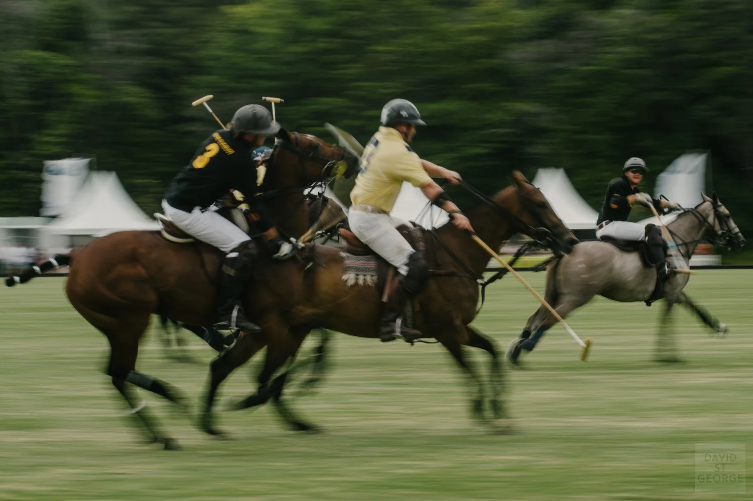 PoloAction__DFD1313.jpg