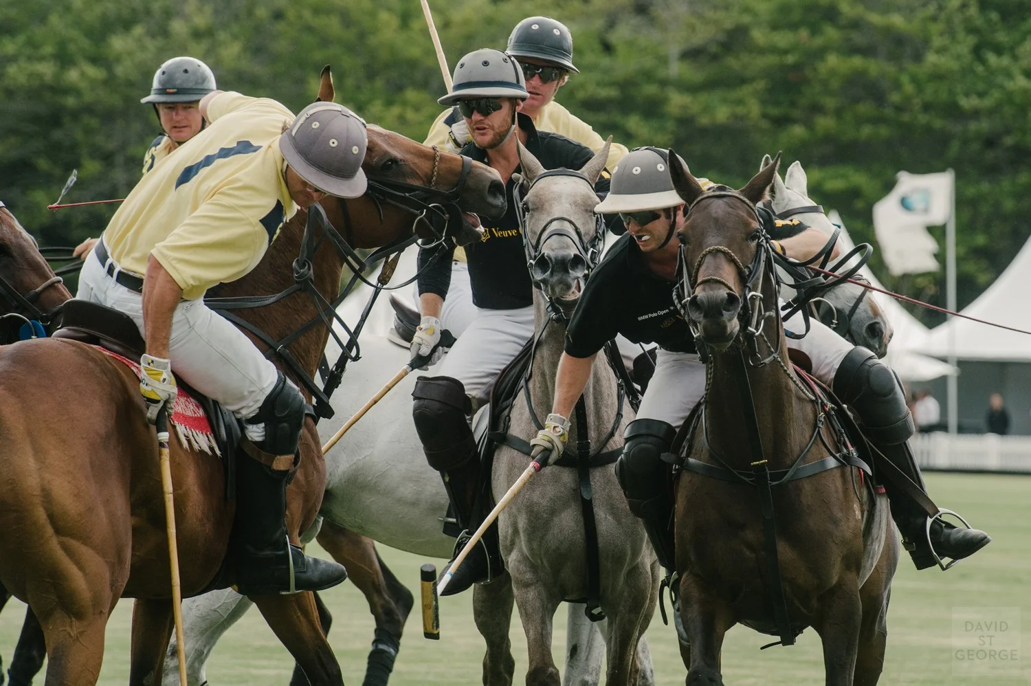 PoloAction__DFD1297.jpg