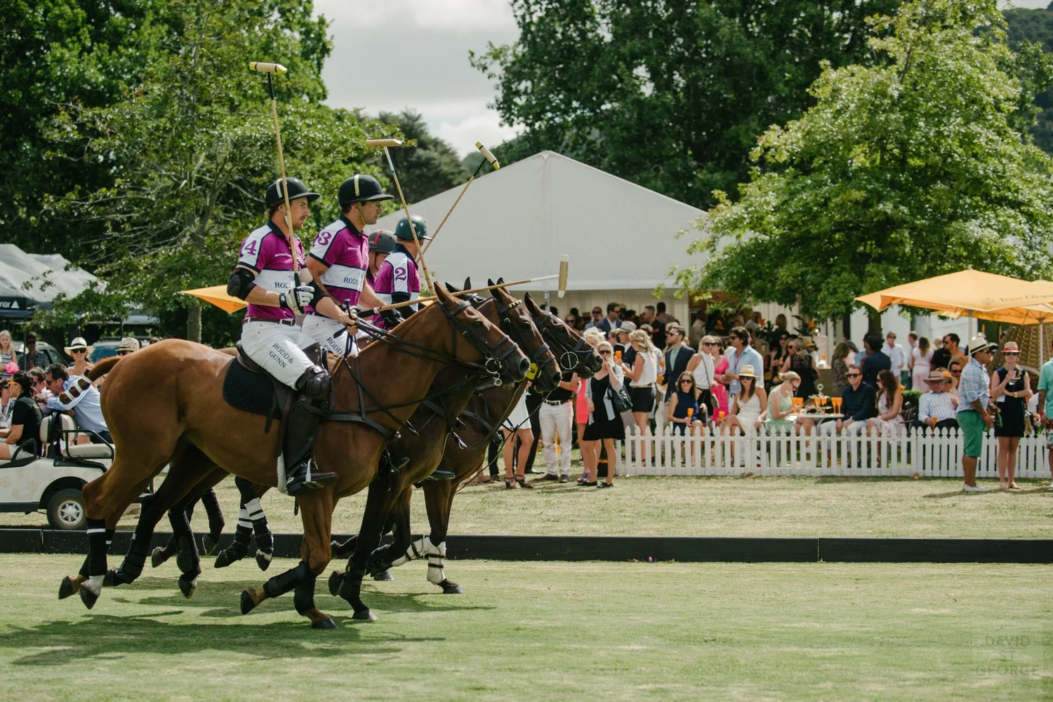 PoloAction__DWS5070.jpg