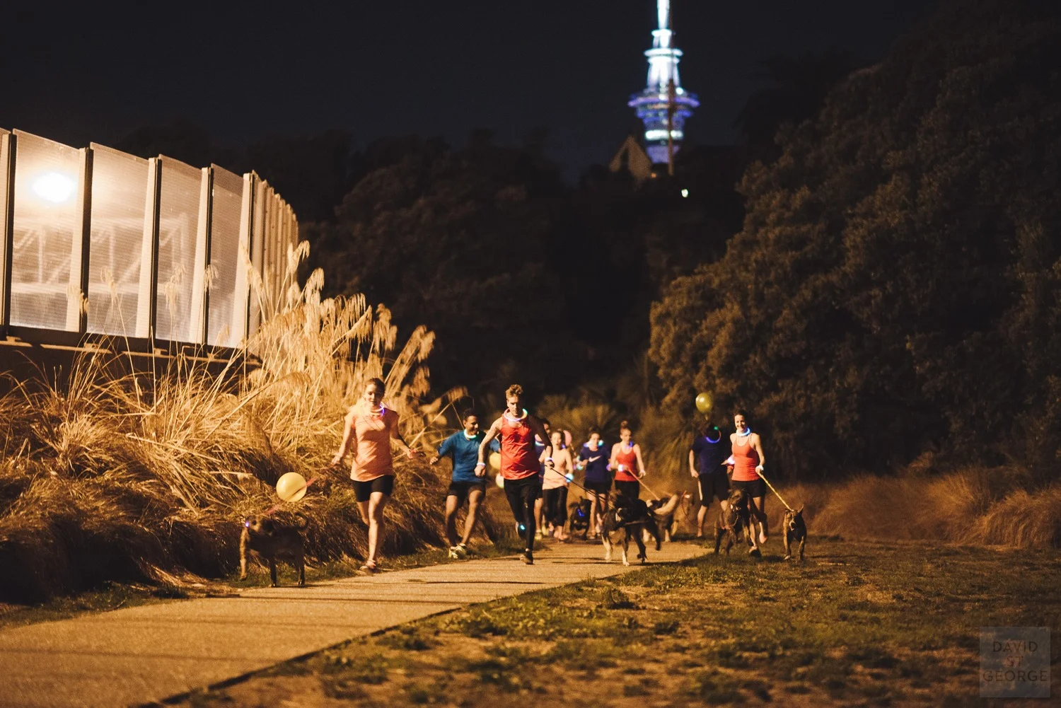 nikefyrauckland_dws9338.jpg