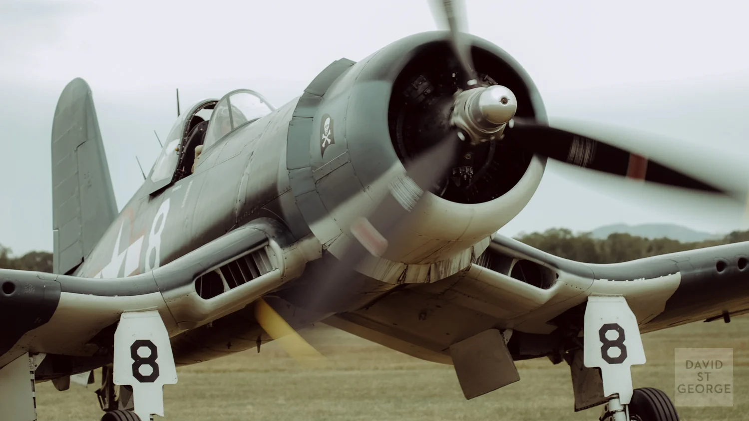Warbirds_w__STG9443.1.jpg