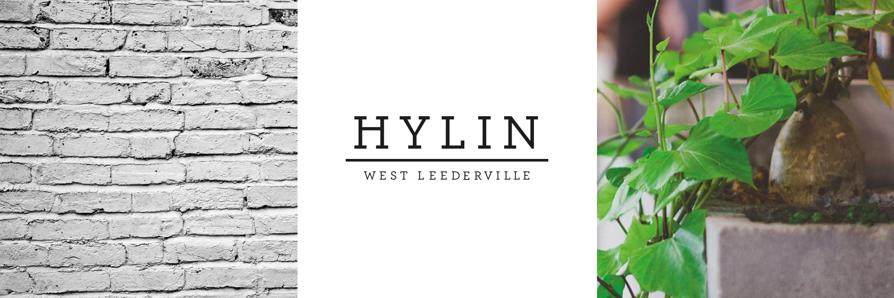 Hylin_brand1_web.jpg