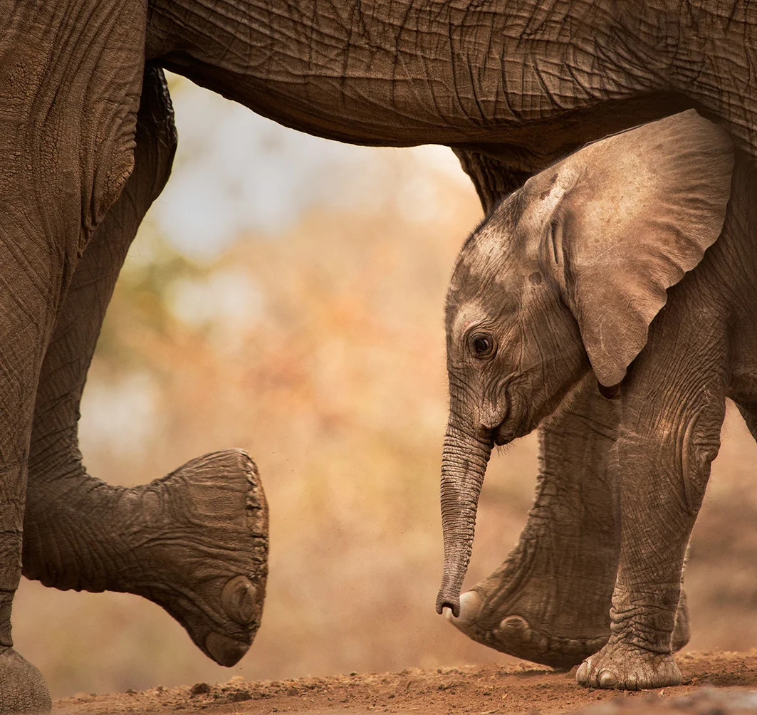 Namibia 2015 PDF Image 11.jpg