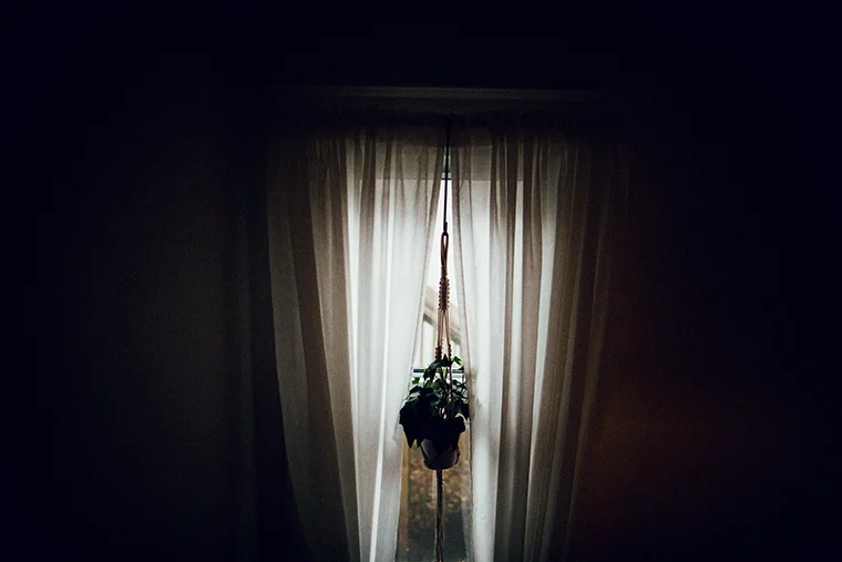 346A7980web.jpg