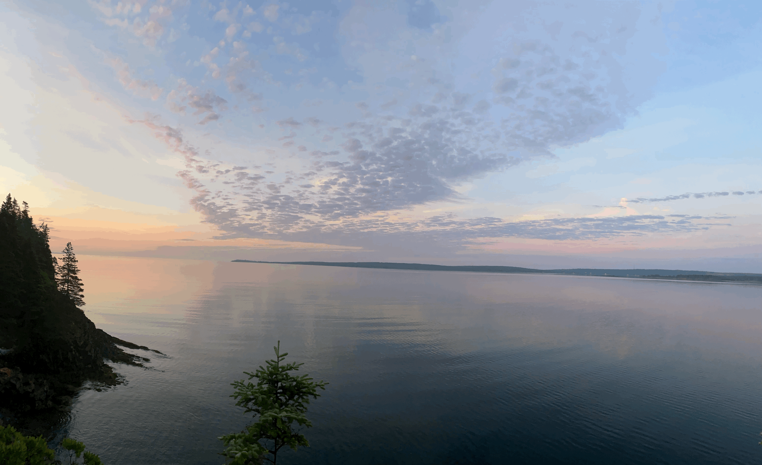 latest-2015-04-10-west-coast-0328.jpg