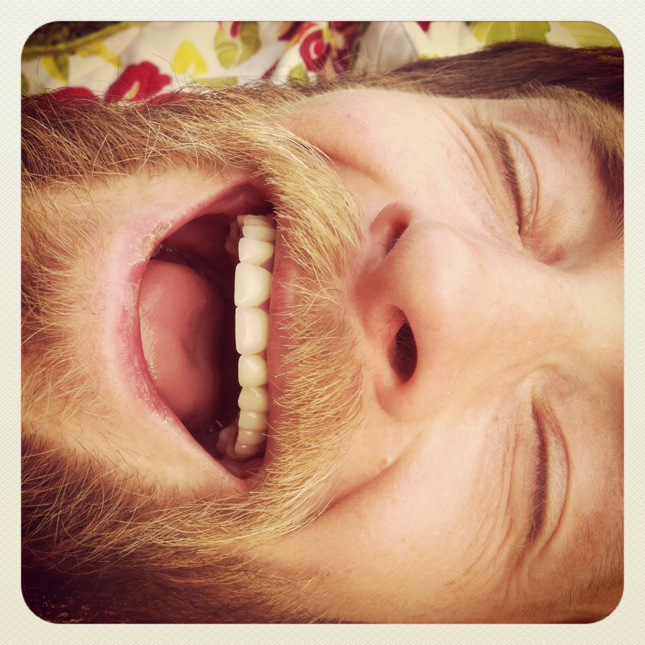 IMG_3395.png