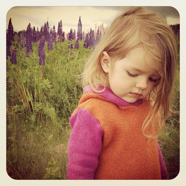 IMG_0384.png